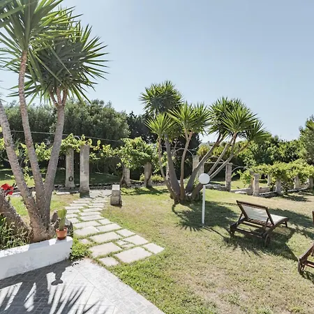Il Giardino Dei Gelsi *