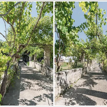 度假居 Il Giardino Dei Gelsi *